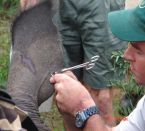 Tierschutz Safari